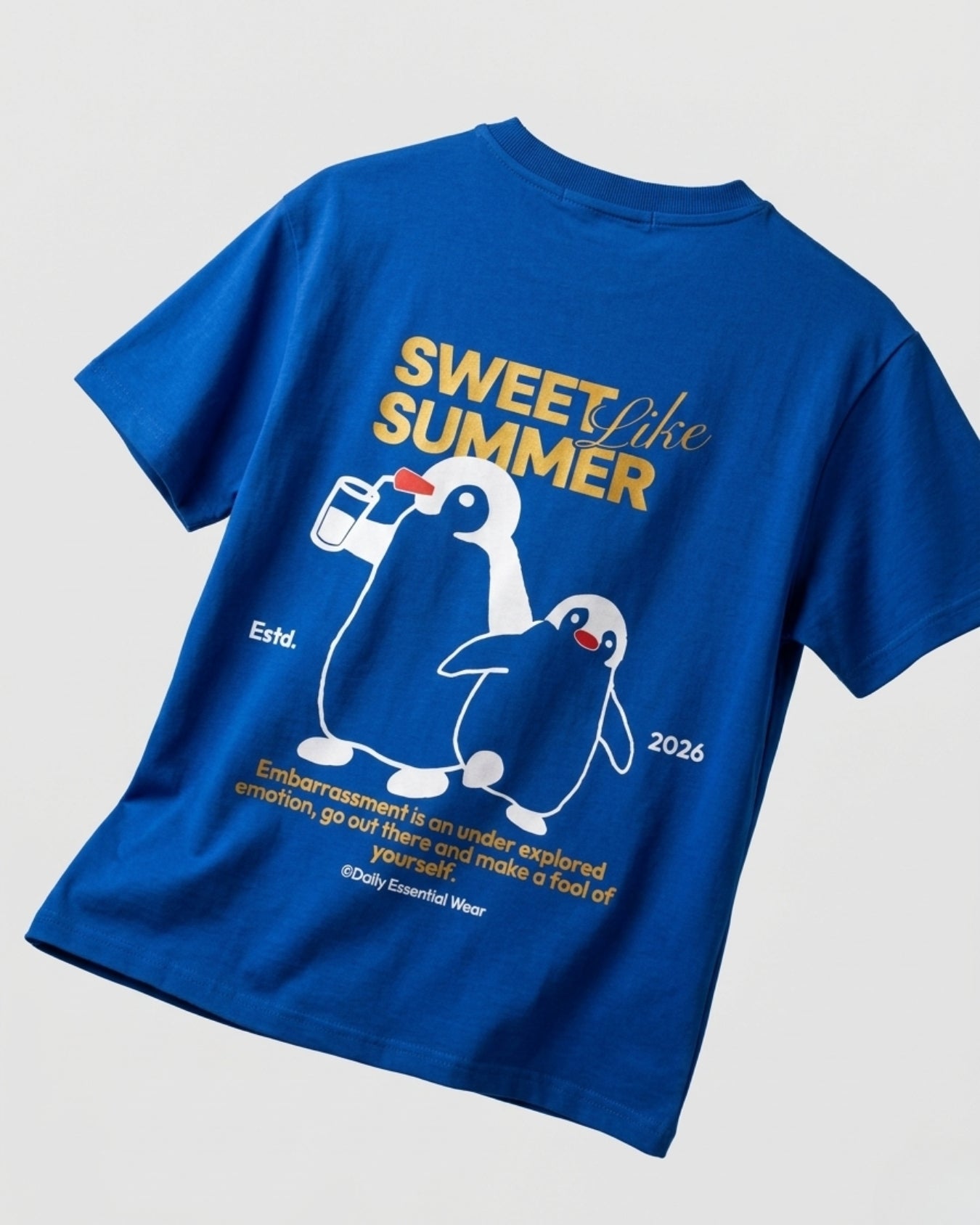 Sweet like summer Over Sized Tee (Medium Blue)